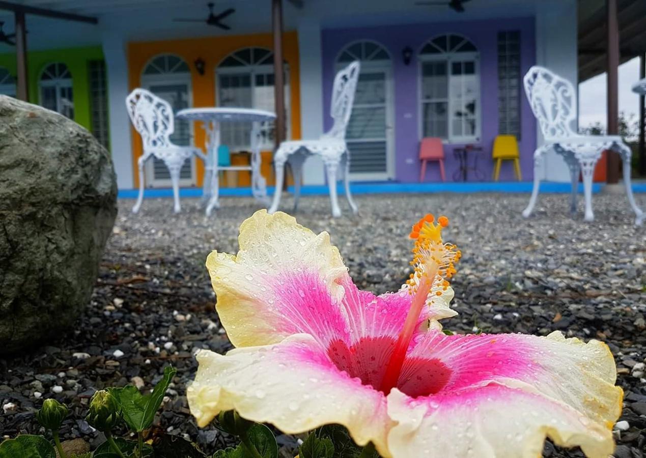 Wei Feng Jia Yuan B&B T'ai-tung Dış mekan fotoğraf